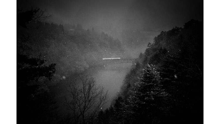 Dream / Silence ― 夢と沈黙のあいだ Dream / Silence ― 夢と沈黙のあいだ