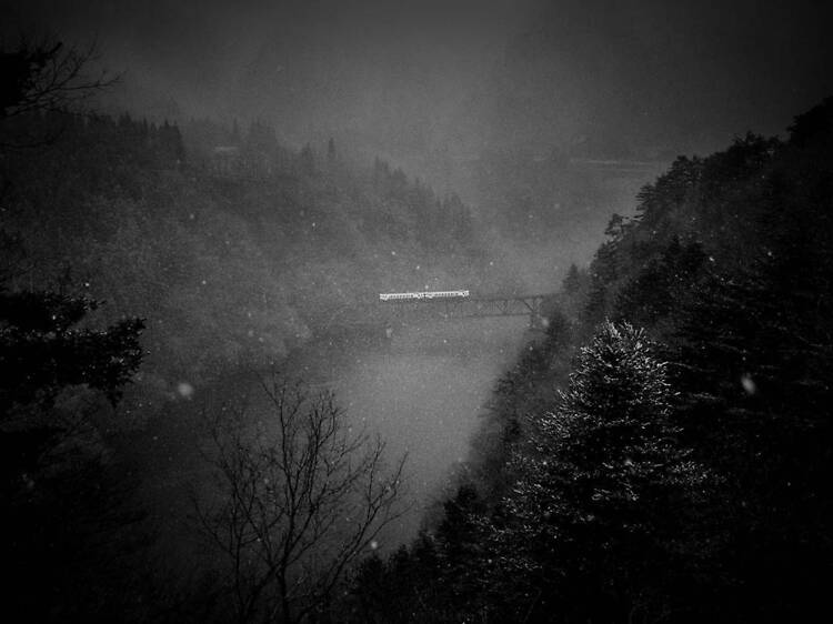 Dream / Silence ― 夢と沈黙のあいだ Dream / Silence ― 夢と沈黙のあいだ