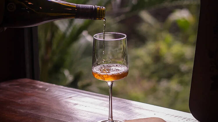 Wine tastings at Wineyard, Merces