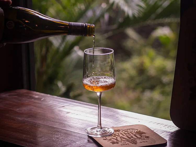 Wine tastings at Wineyard, Merces