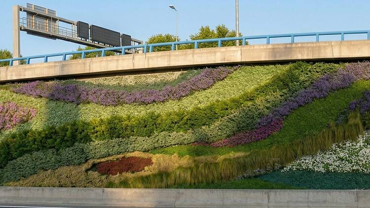 Recreación del jardín vertical en la M-30 a la altura del puente de Ventas
