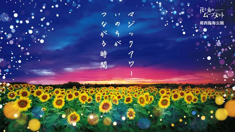 「花と光のムーブメント」葛西臨海公園 マジックアワー いのちがつながる時間