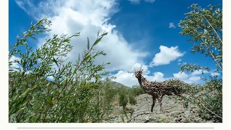 Forest Art Festival | Nature Exhibition