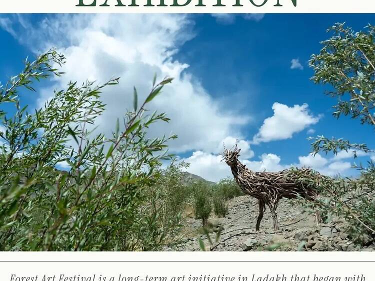Forest Art Festival | Nature Exhibition