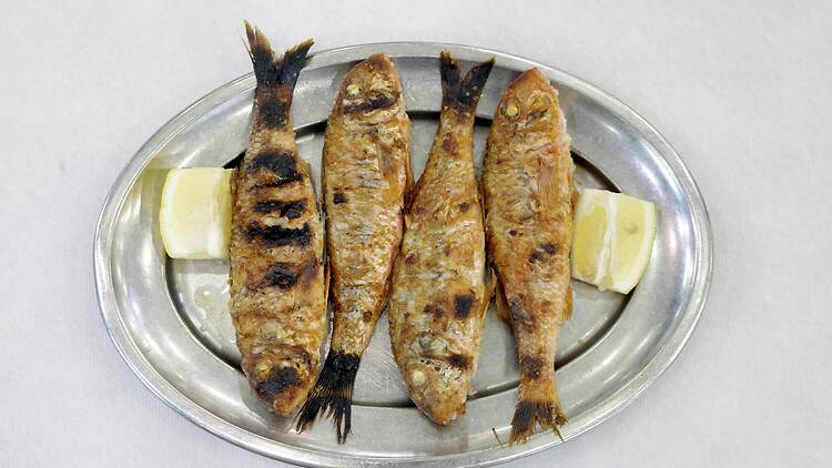 Senhor Peixe