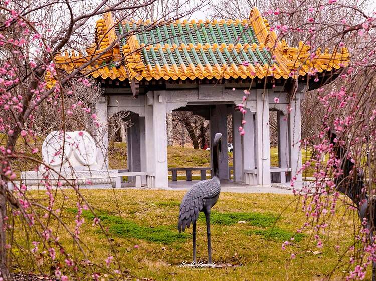 Canberra Nara Peace Park Canberra Nara Peace Park