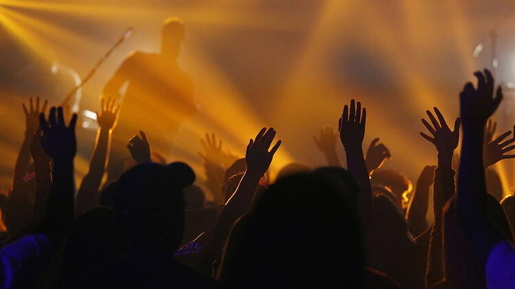 A wide shot of a crowd raising their hands at a live concert. A wide shot of a crowd raising their hands at a live concert.