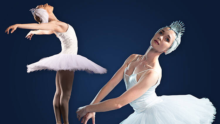 Swan Lake Swan Lake