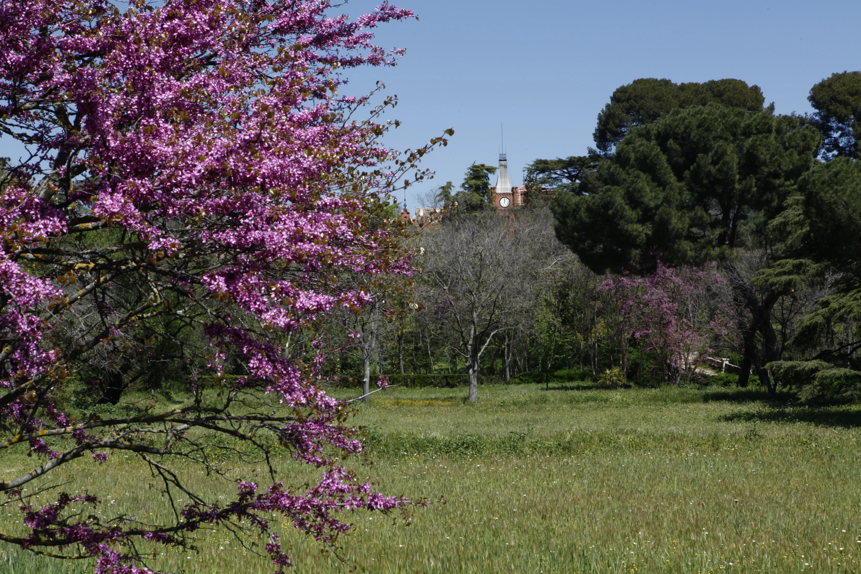 Parque de la Quinta de Torre Arias