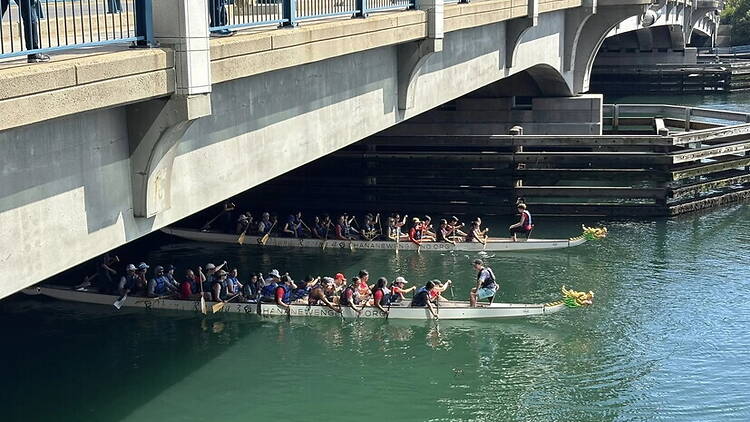 A wide shot of dragon boat teams paddling beneath a bridge on a river. A wide shot of dragon boat teams paddling beneath a bridge on a river.
