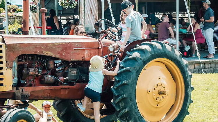 A wide shot of children climbing onto a tractor at an outdoor festival. A wide shot of children climbing onto a tractor at an outdoor festival.