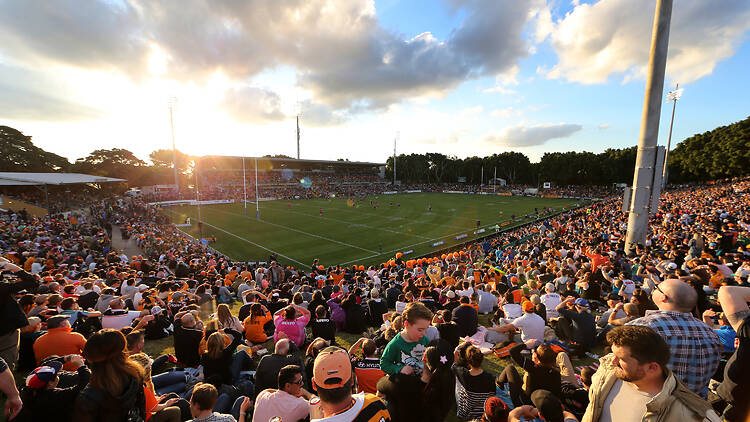 Leichhardt Oval Leichhardt Oval