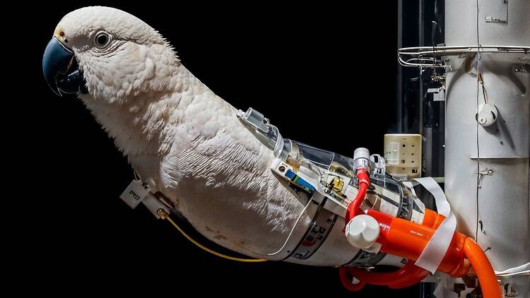 17.8. AI, lögner och läskigt snygga bilder på Fotografiska 17.8. AI, lögner och läskigt snygga bilder på Fotografiska