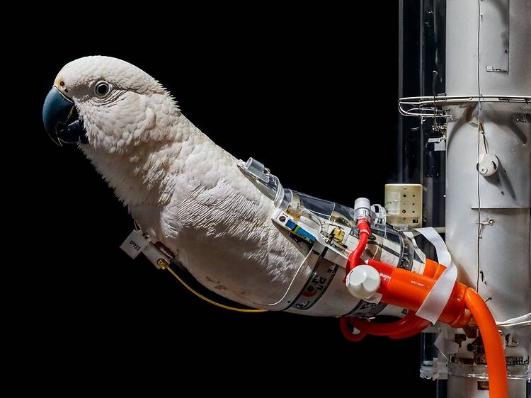 17.8. AI, lögner och läskigt snygga bilder på Fotografiska 17.8. AI, lögner och läskigt snygga bilder på Fotografiska
