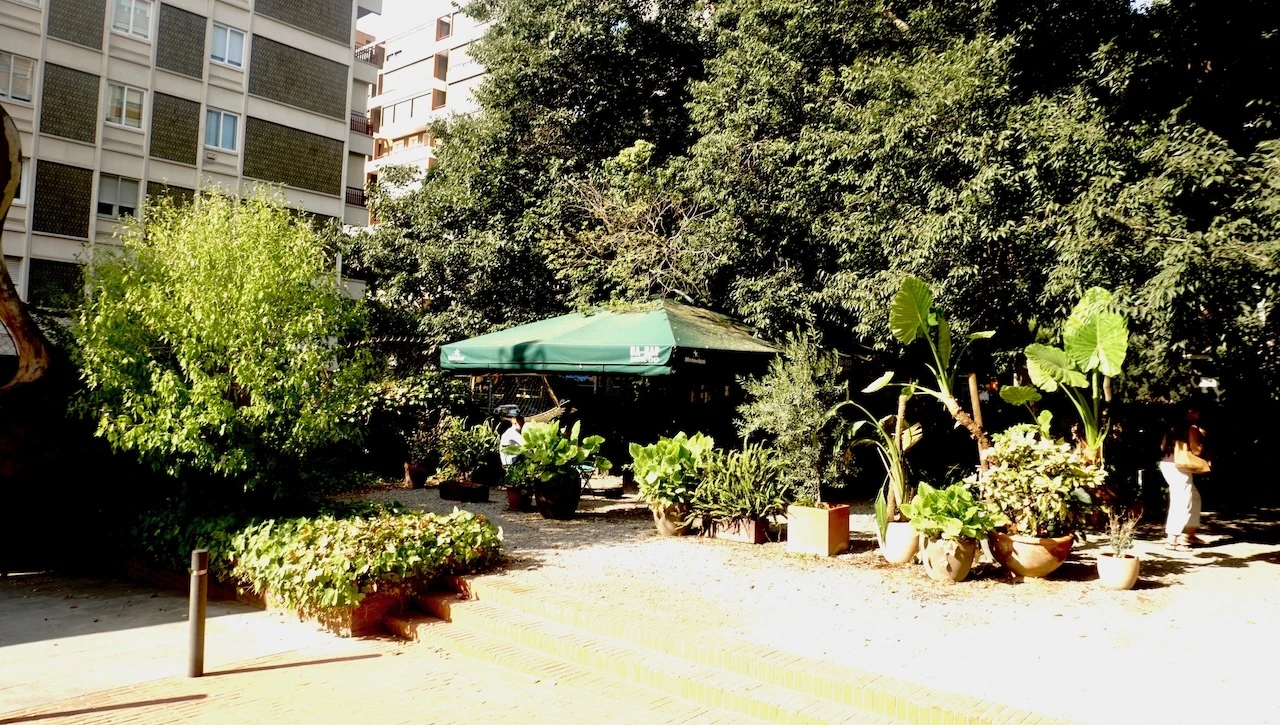 No &eacute;s un parc municipal: &eacute;s la vegetaci&oacute; del Ba-Bar Menudo