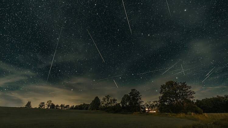 Perseids Meteor Shower Perseids Meteor Shower