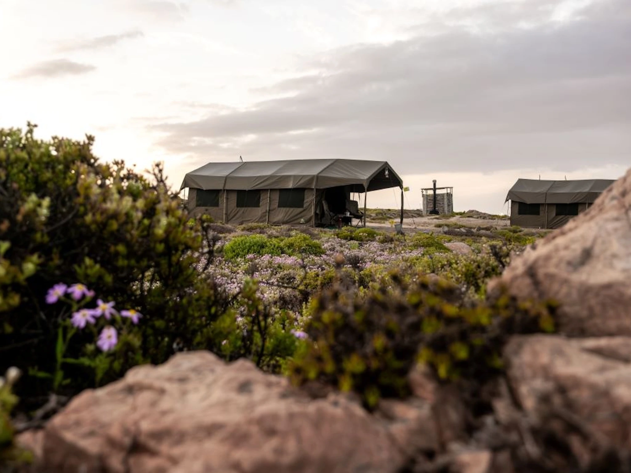 Namaqua Flower Beach Camp