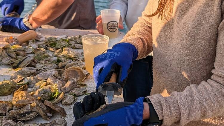 Maine oyster experience Maine oyster experience