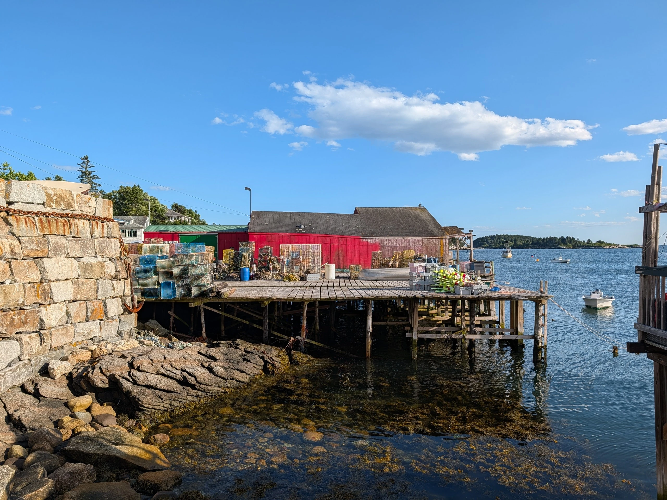 Maine oyster experience
