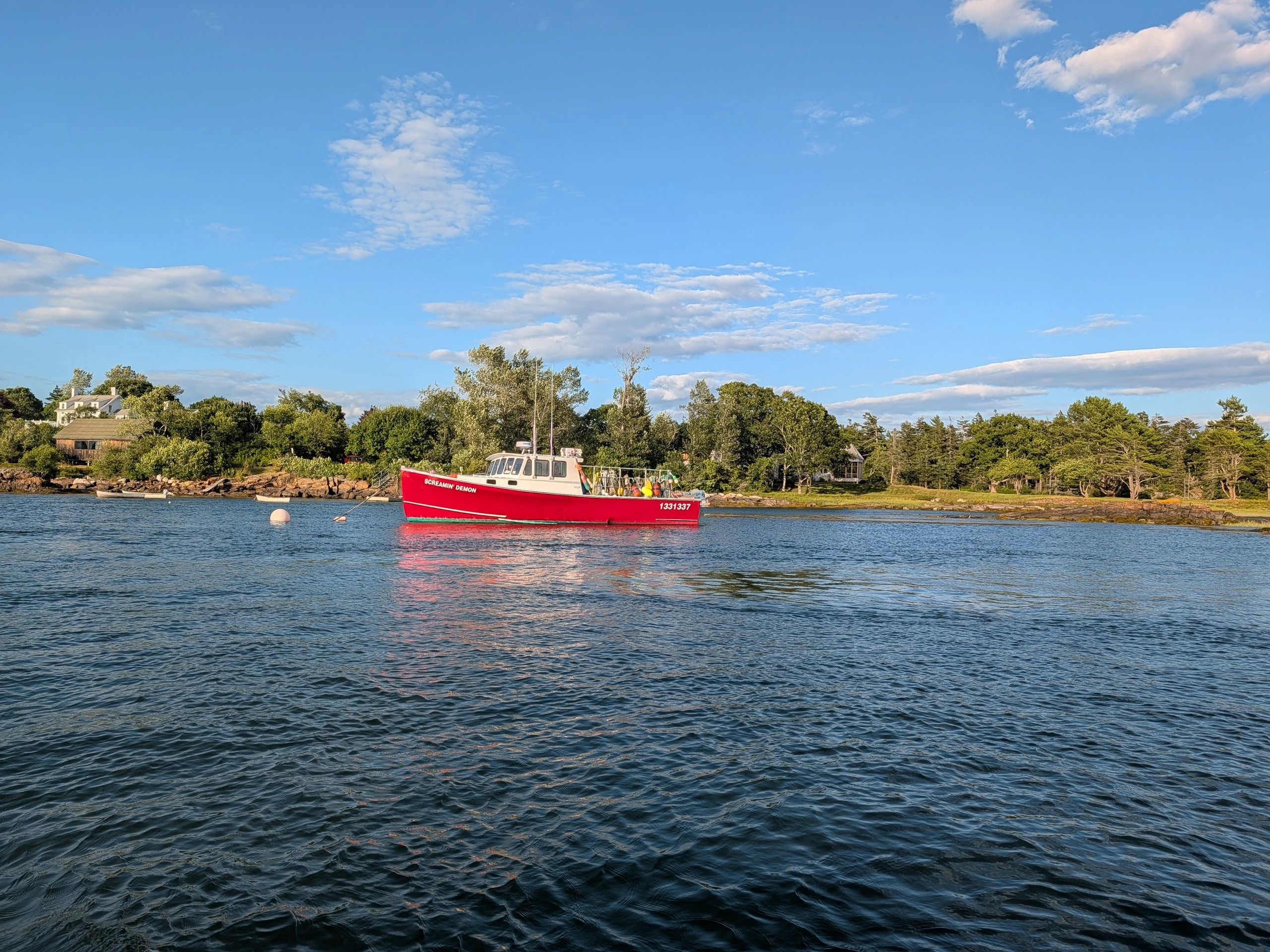 Maine oyster experience