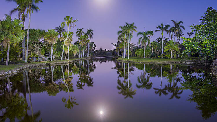 Moonlight at Fairchild