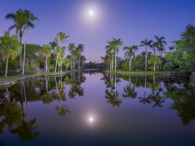 Moonlight at Fairchild