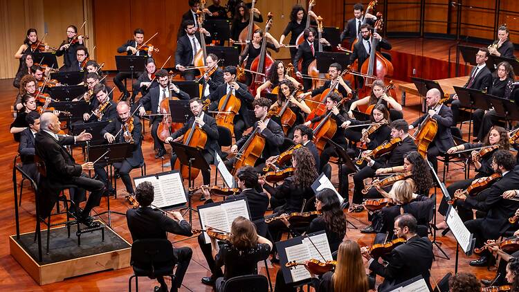 Barenboim y su Diván