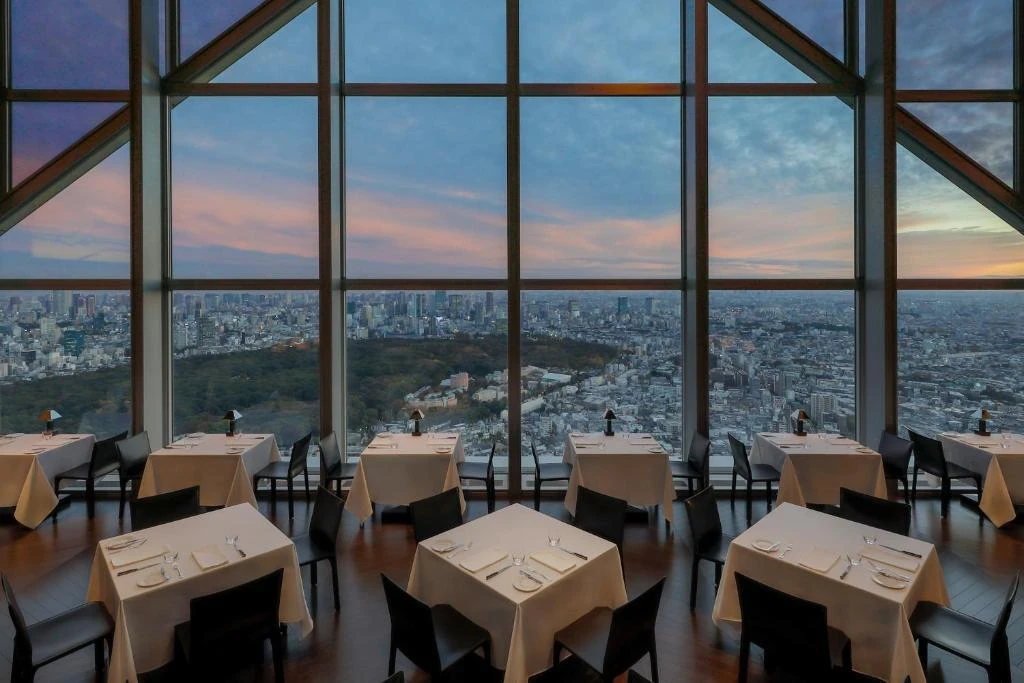Park Hyatt Tokyo with a view over the city at dusk