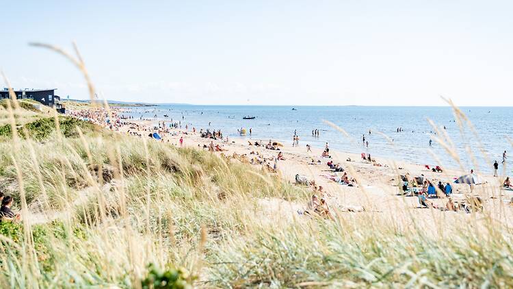 Spend a few lazy days at Skrea Beach in Falkenberg Spend a few lazy days at Skrea Beach in Falkenberg
