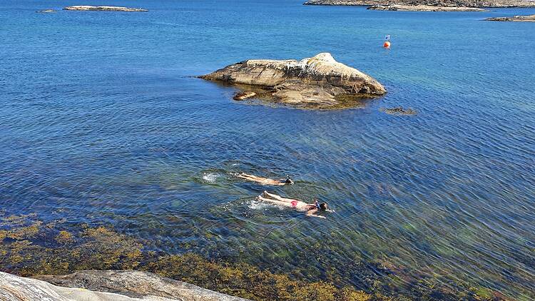 Discover the snorkelling trails on the Koster Islands Discover the snorkelling trails on the Koster Islands
