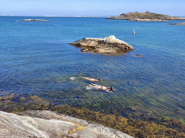 Discover the snorkelling trails on the Koster Islands Discover the snorkelling trails on the Koster Islands