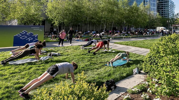 A wide shot of people exercising on a lawn in an outdoor fitness class. A wide shot of people exercising on a lawn in an outdoor fitness class.