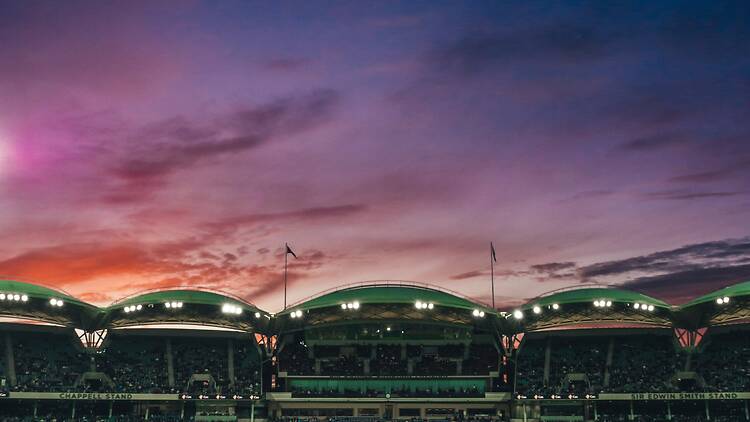 urban is officially on the world stage! The city has been confirmed as one of the host venues for the ICC Men's Cricket World Cup 2027. urban is officially on the world stage! The city has been confirmed as one of the host venues for the ICC Men's Cricket World Cup 2027.