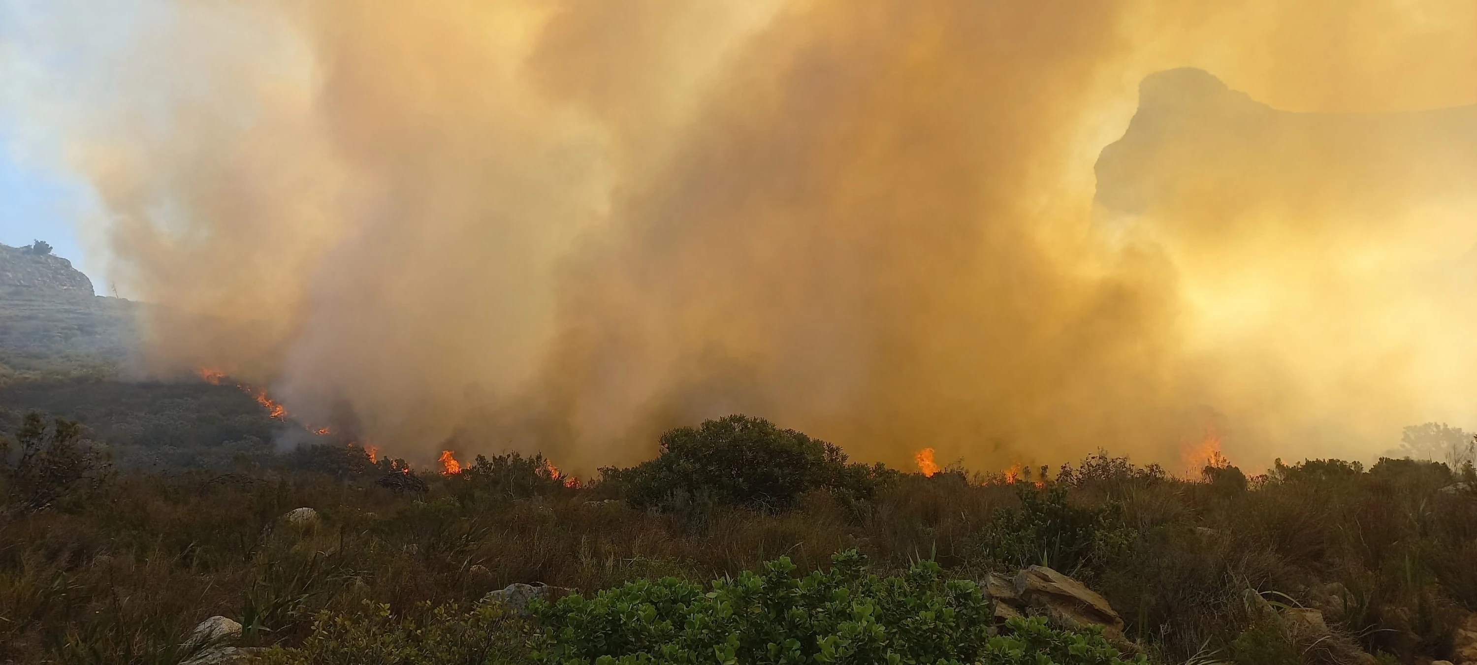 The public is being asked to avoid the Tafelberg Road and the surrounding area.