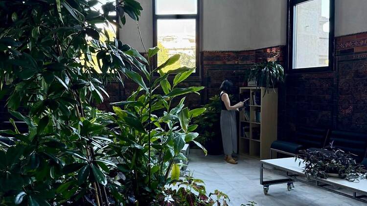 Espacio Cultural Vegetal (CentroCentro). Espacio Cultural Vegetal (CentroCentro).