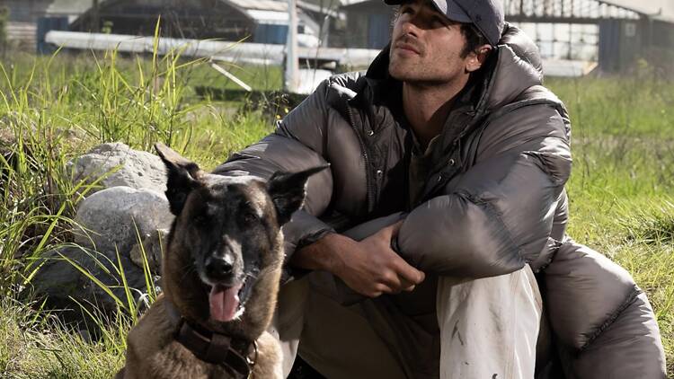 The Dog Stars The Dog Stars