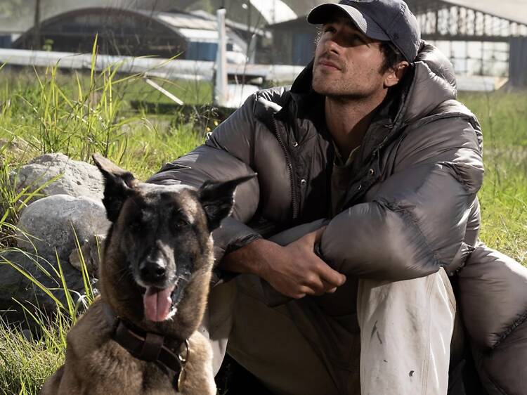The Dog Stars The Dog Stars