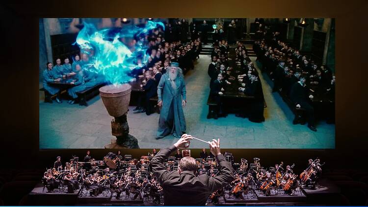 harrypotterinconcert harrypotterinconcert