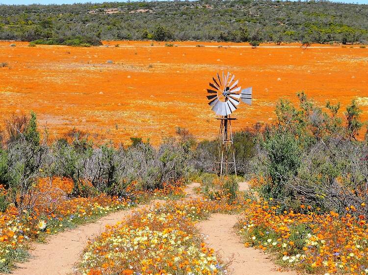 Namaqua National Park Namaqua National Park