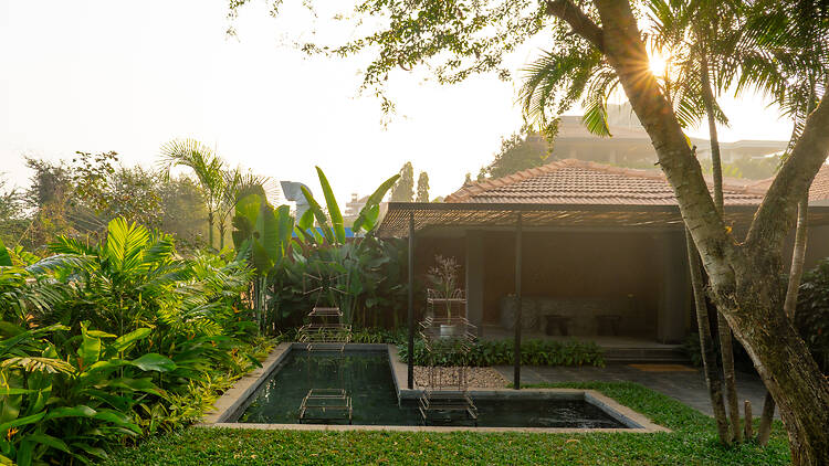 The garden at Amaraanth
