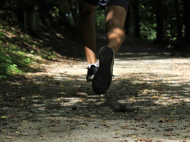South Africa's newest trail festival is heading to the KZN Midlands South Africa's newest trail festival is heading to the KZN Midlands