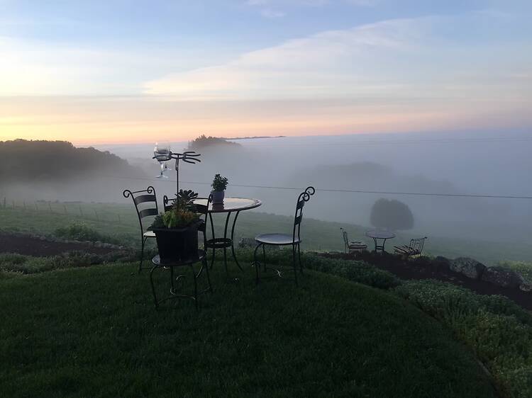 The Sonoma Mountain Farmhouse