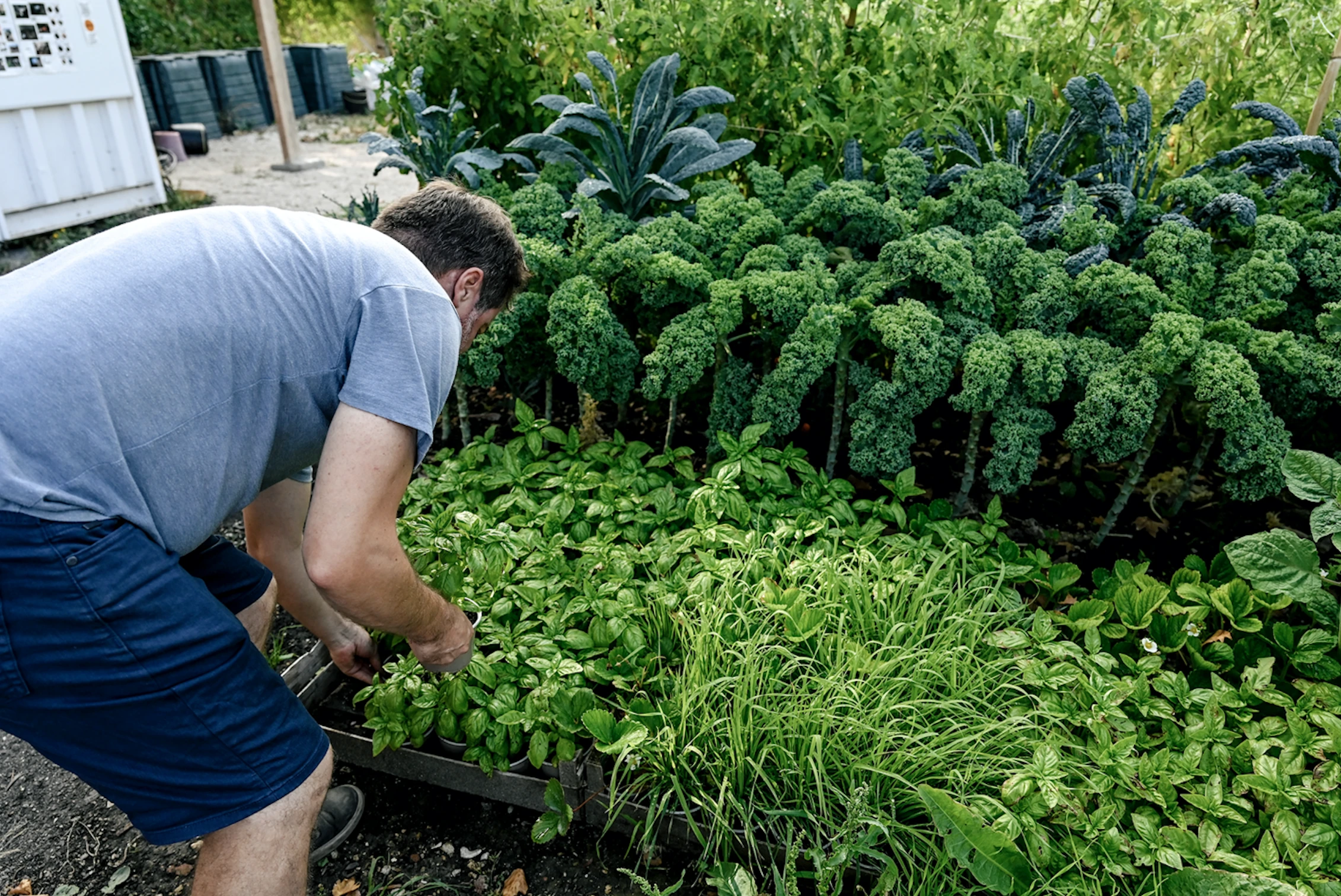 Projecto Cultiva, na Escola Secund&aacute;ria Gil Vicente