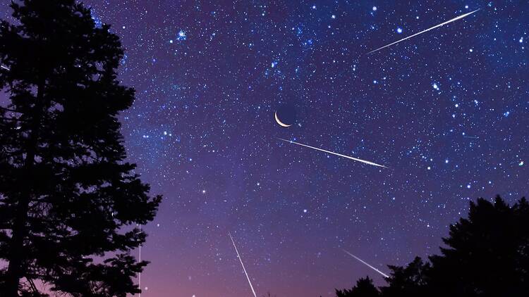 Perseids 2026: How to see the biggest meteor shower of the year in London this month