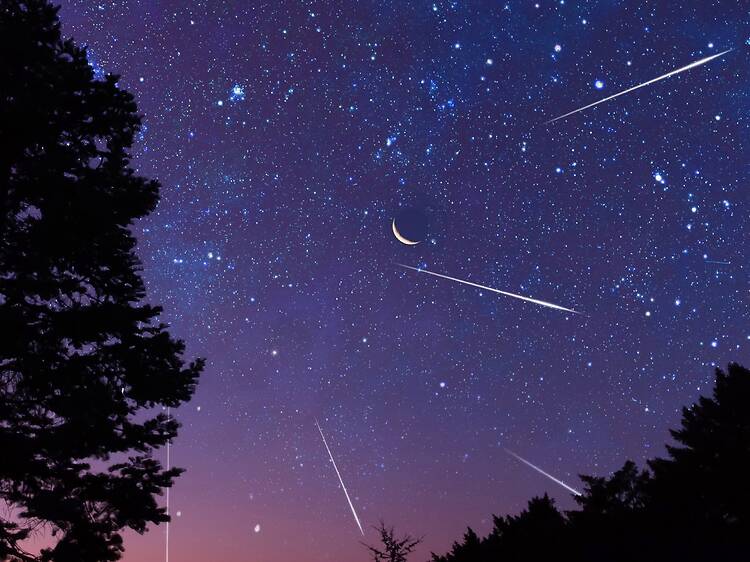 Perseids 2026: How to see the biggest meteor shower of the year in London this month