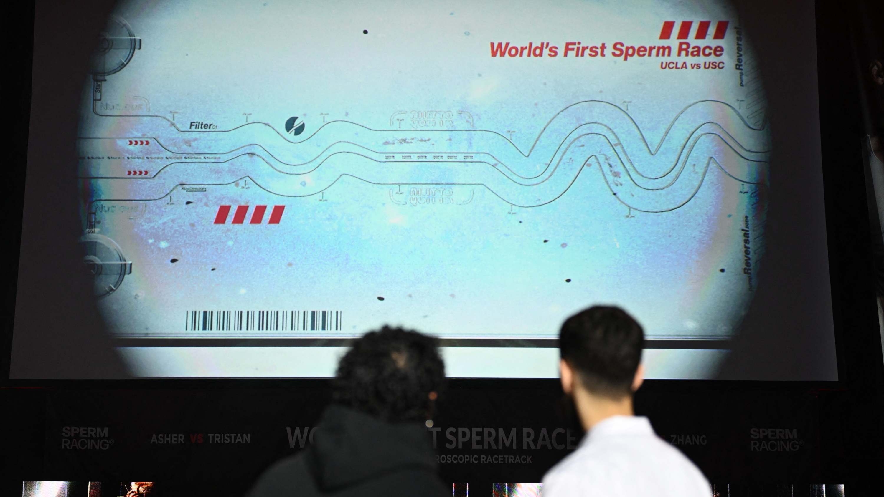 The Sperm Race is coming to Hong Kong to pit six men's virility against each other