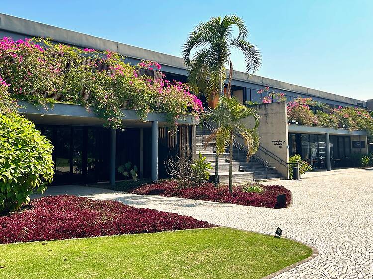 Os 50 anos do Museu do Pontal: da maior exposição do Véio ao show de Lia de Itamaracá