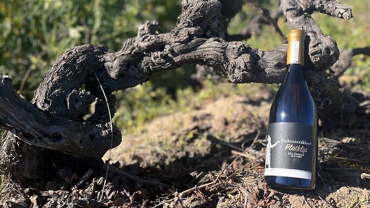 Mother Sippy: Pop the cork on Palomino