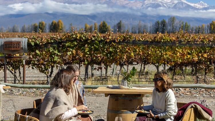 Finca Las Divas: Cocina de montaña con el viñedo como escenario Finca Las Divas: Cocina de montaña con el viñedo como escenario
