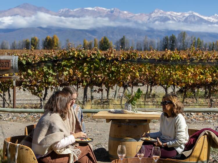 Finca Las Divas: Cocina de montaña con el viñedo como escenario Finca Las Divas: Cocina de montaña con el viñedo como escenario
